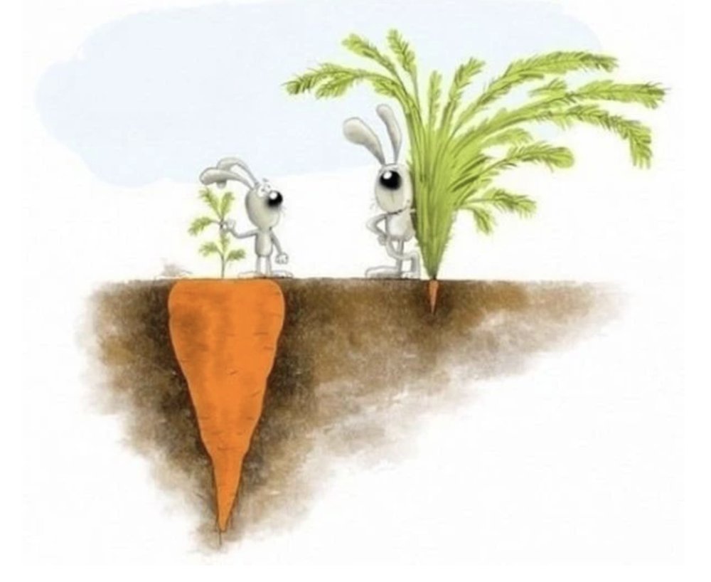 Ilustración de dos conejos junto a dos zanahorias: una con hojas pequeñas y una raíz enorme bajo la tierra, otra con hojas grandes y una raíz diminuta